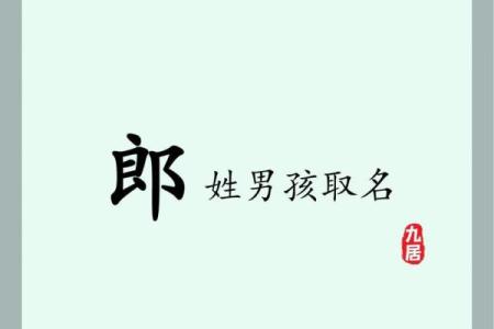 郎氏家族的字辈排行和家谱记载-姓名学-华易网姓名