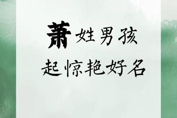 萧姓女孩名字大全-萧姓女孩起名字大全-萧姓名字大全姓名