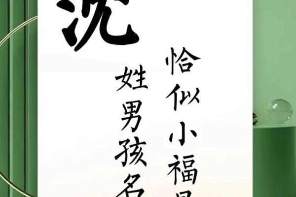 沈姓女孩名字大全-沈姓女孩起名字大全-沈姓名字大全姓名