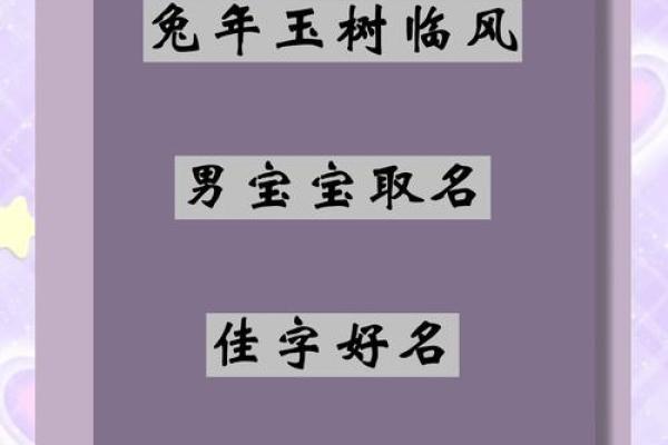 半夜出生属兔的男孩应该怎么样去名字呢姓名