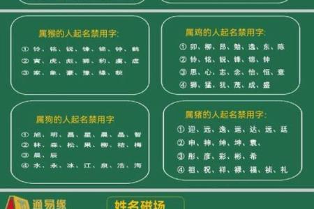 体育公司起名大全-名字大全-姓名学-华易算命网姓名