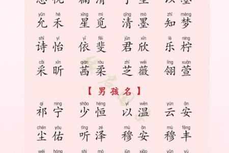 2019年3月17号酉时出生的男孩应该起什么样的名字姓名