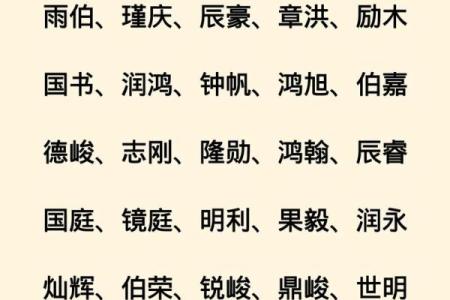 2019年3月23号辛时出生的男孩如何起名姓名