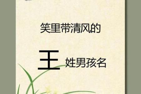王姓男孩名字大全-王姓男孩起名字大全-王姓名字大全姓名