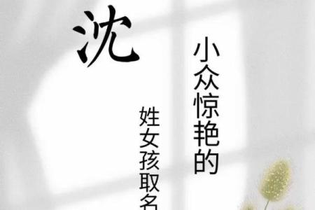 沈姓女孩名字大全-沈姓女孩起名字大全-沈姓名字大全姓名