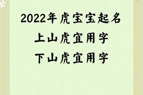 晚上出生的属虎男孩应该如何起名，宜用什么字姓名
