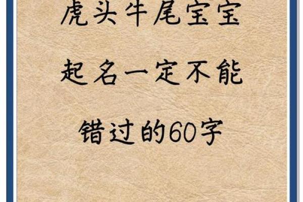 晚上出生的属虎男孩应该如何起名，宜用什么字姓名