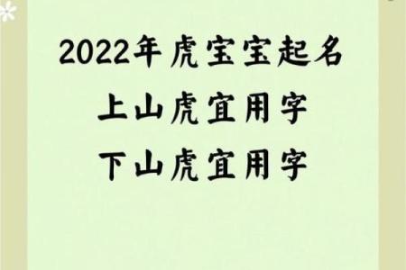晚上出生的属虎男孩应该如何起名，宜用什么字姓名
