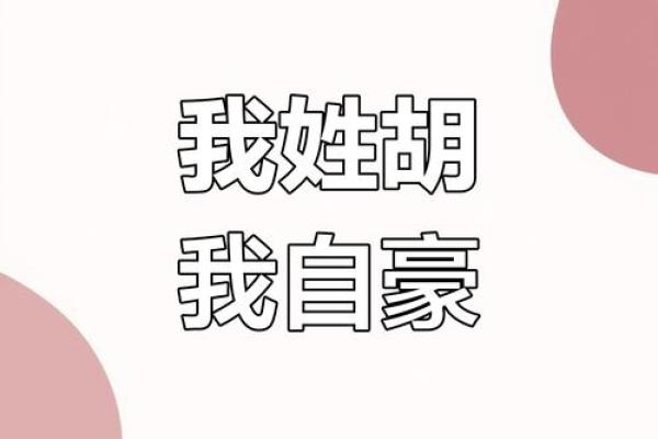 2019年出生的姓胡男孩如何起名，宜用什么字姓名