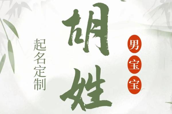 2019年出生的姓胡男孩如何起名，宜用什么字姓名