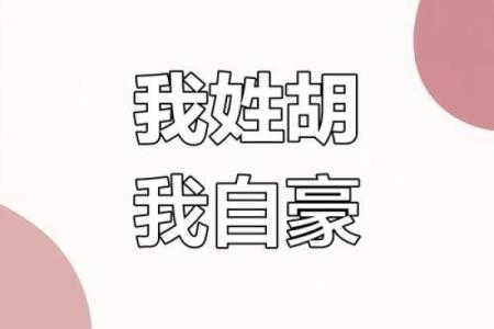 2019年出生的姓胡男孩如何起名，宜用什么字姓名
