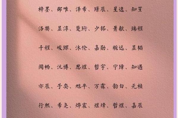 2019年3月20号申时出生的男孩起名方法姓名