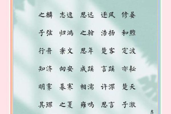 2019年6月28号丑时出生的男孩应该起什么样的名字姓名