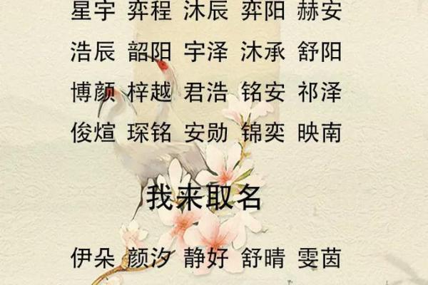 2019年6月24号寅时出生的男孩应该起什么样的名字姓名