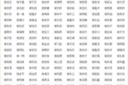 2019年6月3号寅时出生的男孩应该起什么样的名字姓名