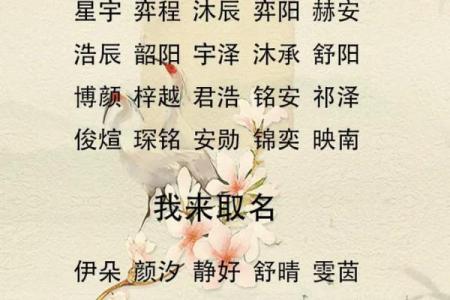 2019年6月24号寅时出生的男孩应该起什么样的名字姓名