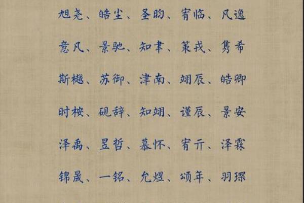 2019年6月21号子时出生的男孩应该起什么样的名字姓名