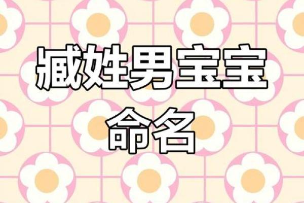 姓臧的名人-姓名学-华易算命网姓名