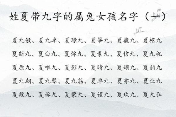 1月份出生的属兔女孩该如何起名姓名