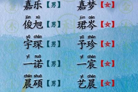 2019年3月23号巳时出生的男孩如何起名姓名