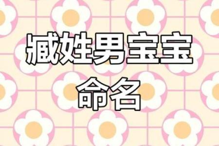 姓臧的名人-姓名学-华易算命网姓名