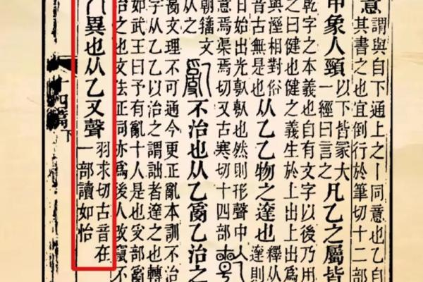 尤姓女孩名字大全-尤姓女孩起名字大全-尤姓名字大全姓名