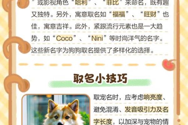 傍晚出生的属狗男孩怎么取名，适合什么字姓名