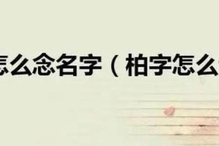 柏姓男孩名字大全-柏姓男孩起名字大全-柏姓名字大全姓名