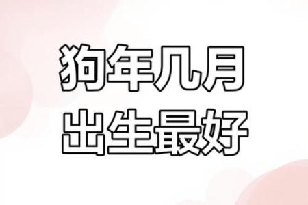 属狗未时出生的男孩应该如何起名，宜用哪些字姓名