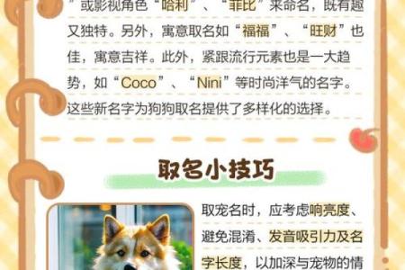 傍晚出生的属狗男孩怎么取名，适合什么字姓名