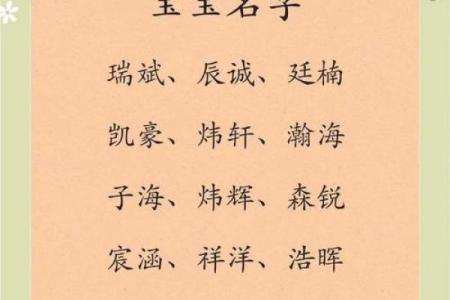 2019年6月16号卯时出生的男孩起名方法姓名