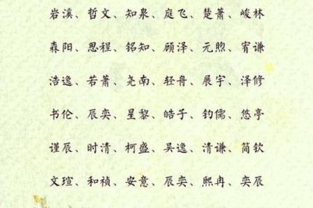 2019年4月9号子时出生的男孩要怎么起名字姓名