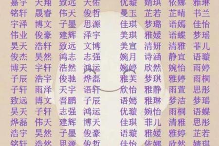 2019年处暑出生的男宝宝叫什么小名好？姓名