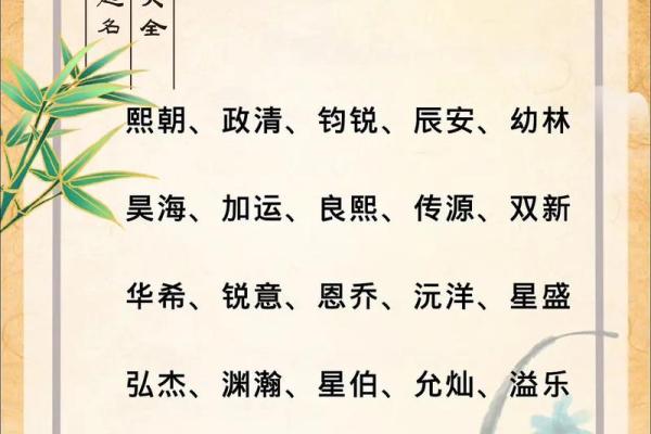 2019年5月4号卯时出生的男孩如何起名姓名 2019年5月4号卯时出生的男孩如何起名姓名