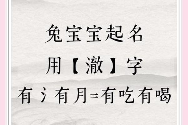 5月份出生的属兔女孩起什么名字好姓名 5月份出生的属兔女孩起什么名字好姓名