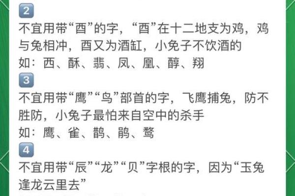 给属兔午时出生的男孩起名推荐的字和名字姓名 给属兔午时出生的男孩起名推荐的字和名字姓名