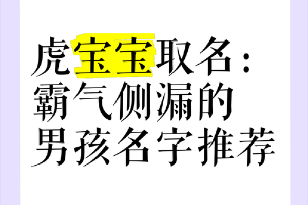 中午出生的属虎男孩如何起名,适合什么字姓名 中午出生的属虎男孩如何起名,适合什么字姓名