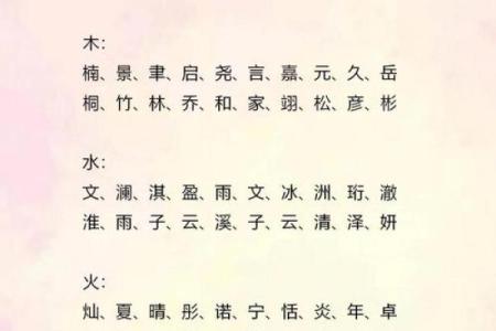 中午出生的属虎男孩如何起名,适合什么字姓名
