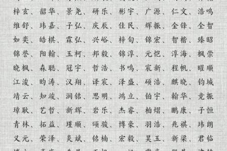 2019年3月17号未时出生的男孩应该起什么样的名字姓名