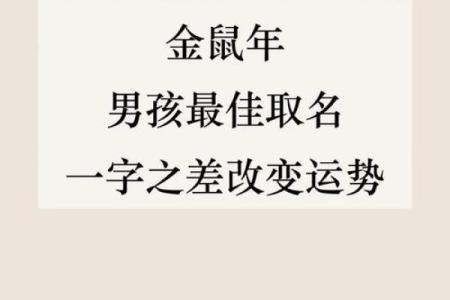 要给下午5点出生的属鼠男孩取名用什么字合适姓名