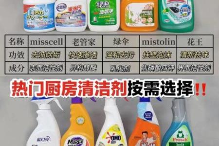 保洁公司名字大全-名字大全姓名