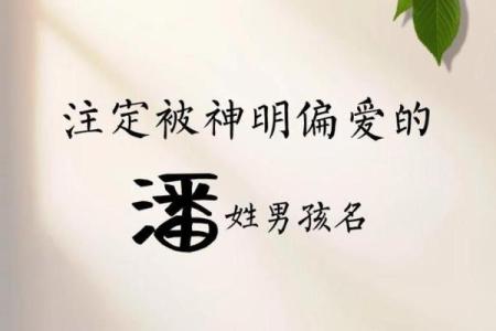2019年出生的姓潘女孩如何起名,宜用什么字姓名