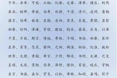 2019年6月19号寅时出生的男孩应该起什么样的名字姓名