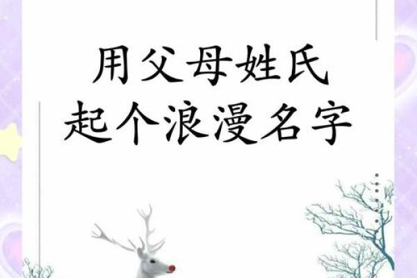 属鼠卯时出生的男孩取名的小诀窍姓名 属鼠卯时出生的男孩取名的小诀窍姓名