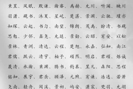 2019年4月4号辰时出生的男孩起名时要注意什么姓名