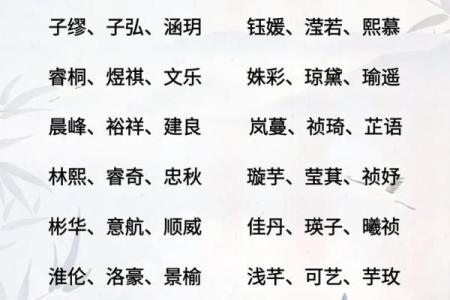 属蛇午时出生的男孩要怎么起名，适合哪些字姓名