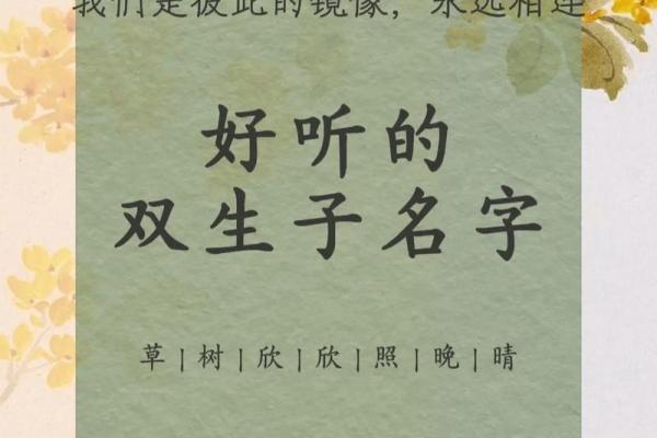 给双胞胎男宝宝的取名的两种方法和有寓意的名字-姓名学-华易网姓名 给双胞胎男宝宝的取名的两种方法和有寓意的名字-姓名学-华易网姓名