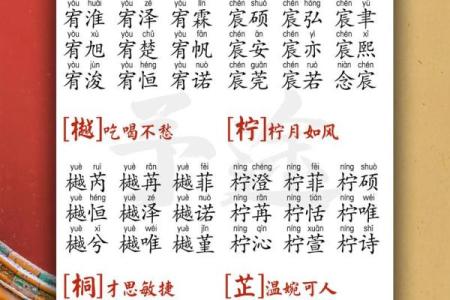 晚上10点出生的属蛇男孩要如何起名，宜用什么字姓名