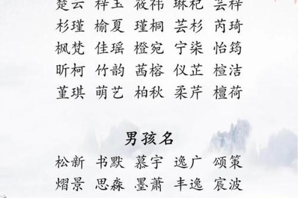 下午出生的属虎男孩应该起什么名，宜用什么字姓名