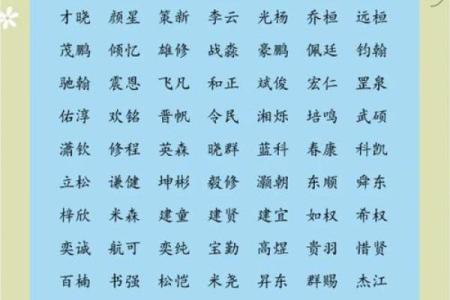 2019年3月27号辛时出生的男孩应该起什么样的名字姓名